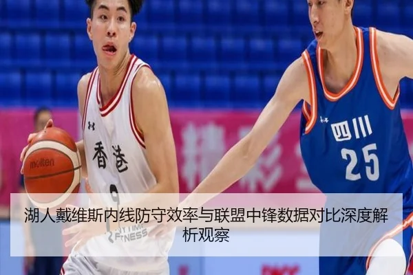 湖人戴维斯内线防守效率与联盟中锋数据对比深度解析观察